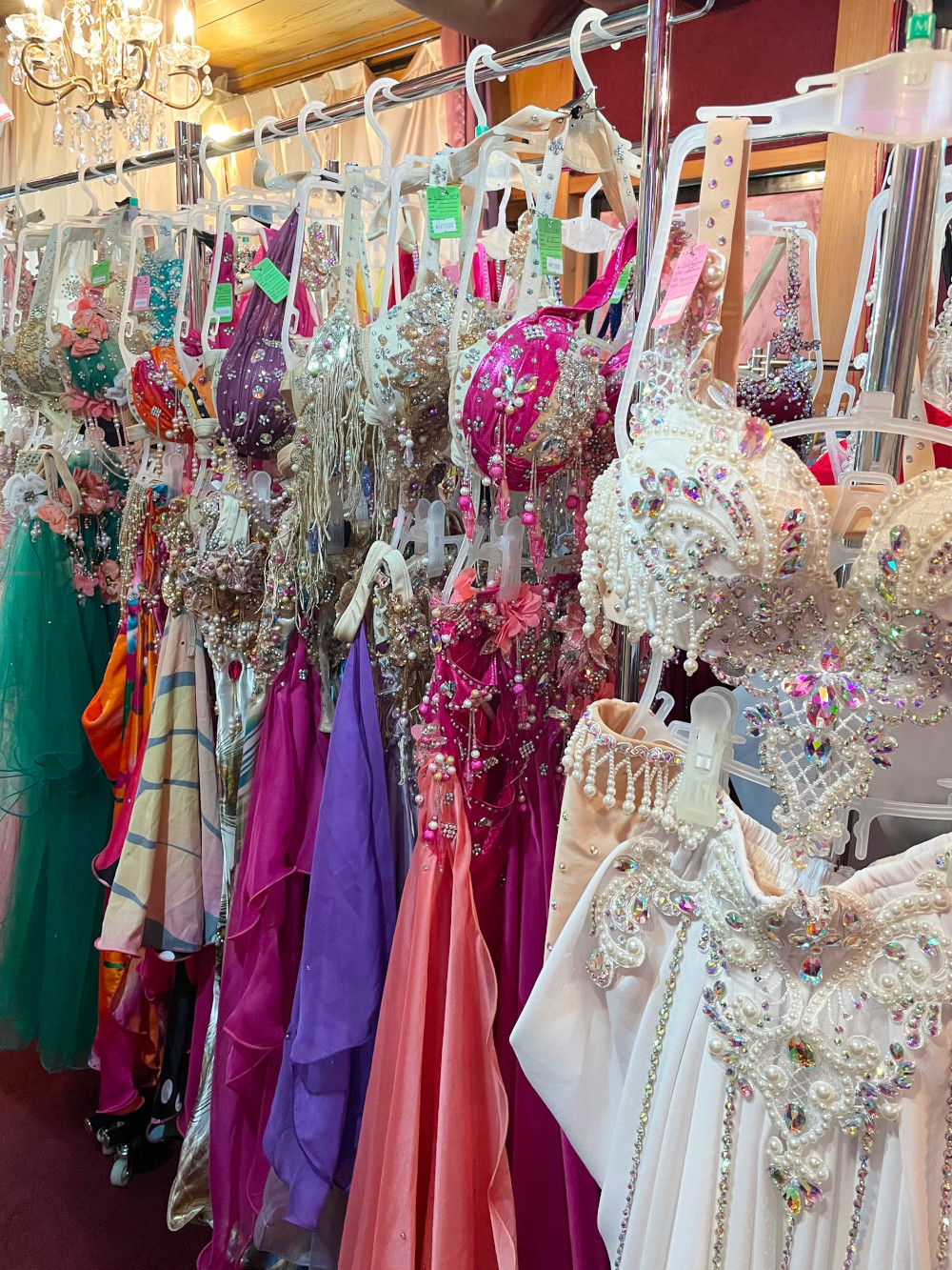 bachata - 一般社団法人日本ベリーダンス連盟